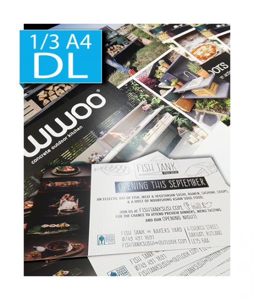 DL Flyers 1/3 A4 printed single double sided printing